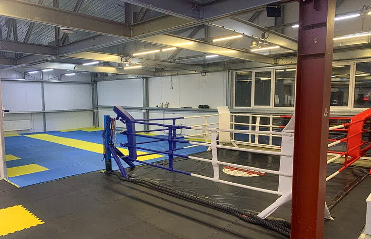 Боксёрские груши